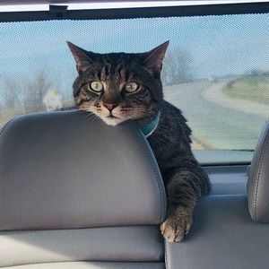 Meet your Posher, Ceara